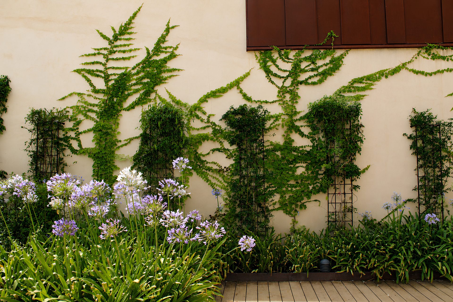 Santa Eugènia — Garden Design Santa Eugènia, Mallorca, Image 6